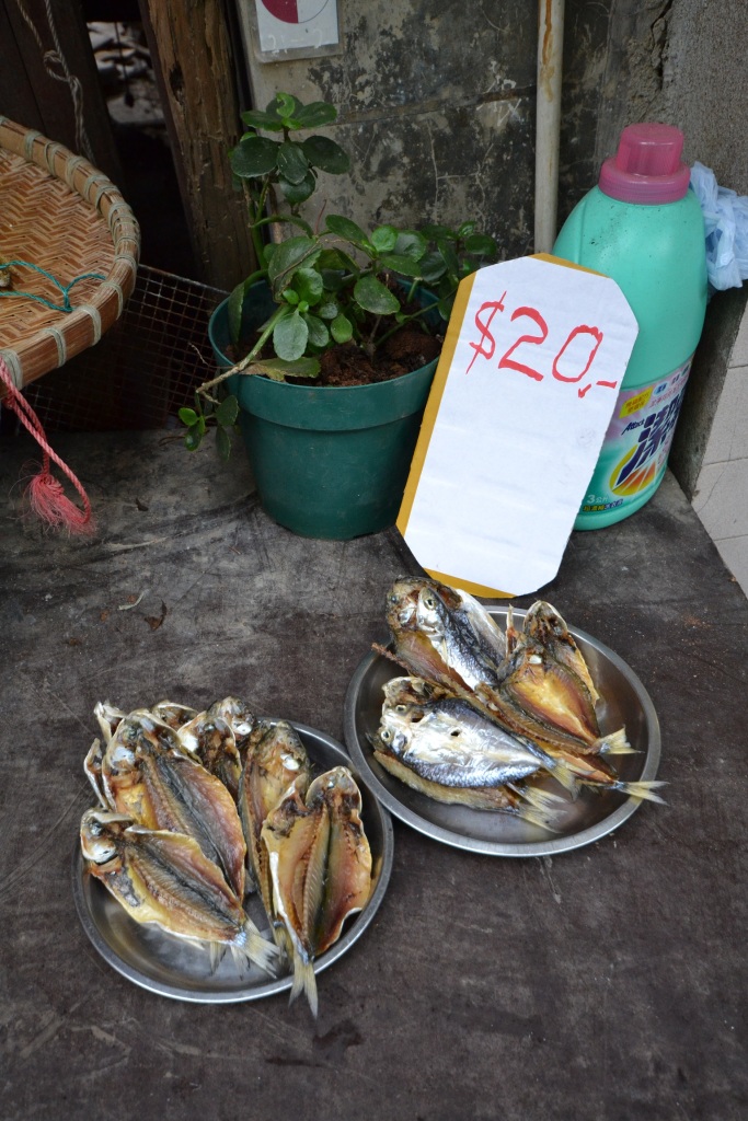 hong-kong-tai-o-village-street-fish
